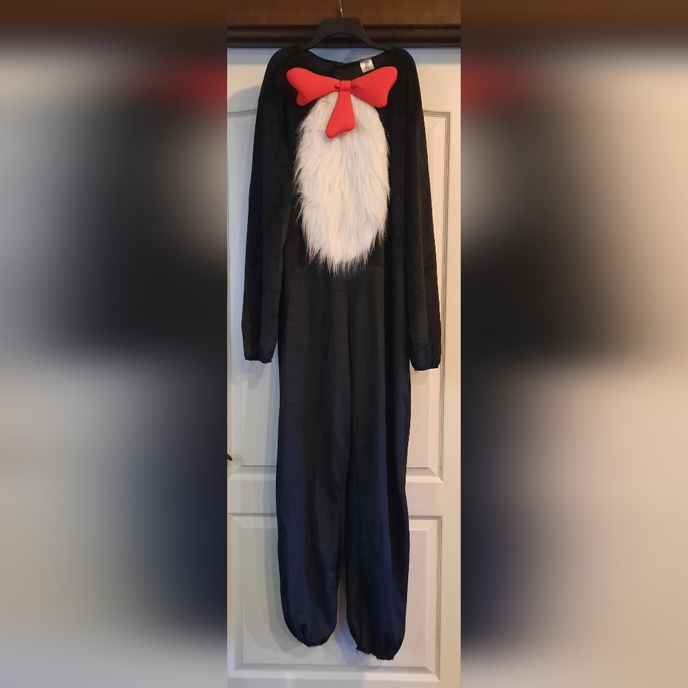 Adult Cat In The Cat Costume